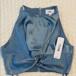 Olia Blue Satin Crop Top